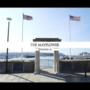 Rodowód 41 | Mayflower